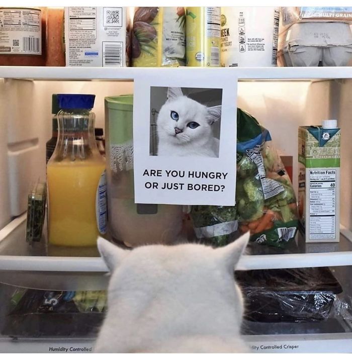 I Am Personally Attacked