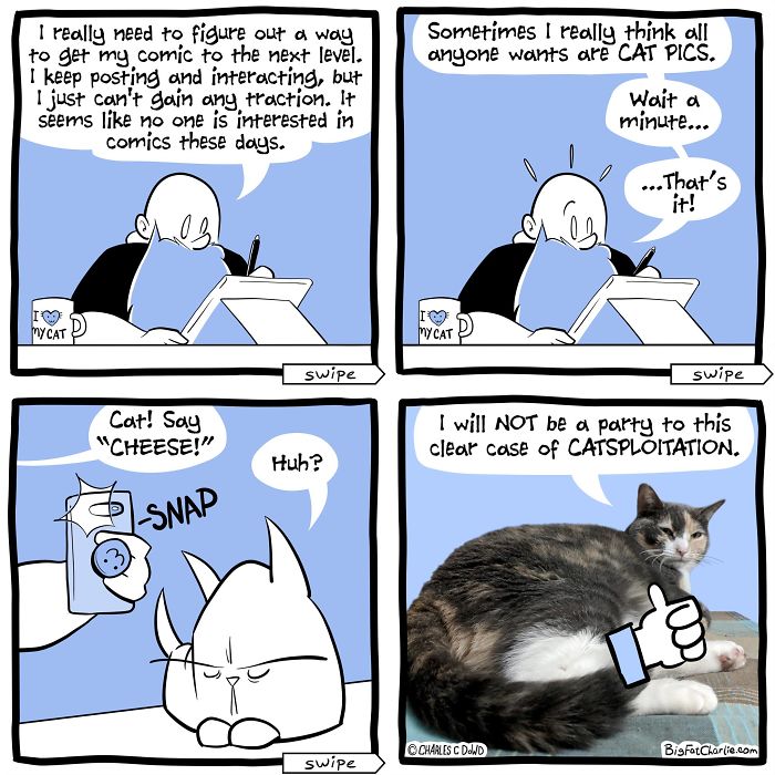 Comic panels showing a man struggling with daily life as a fat man, featuring cat photos and humorous cat interactions.