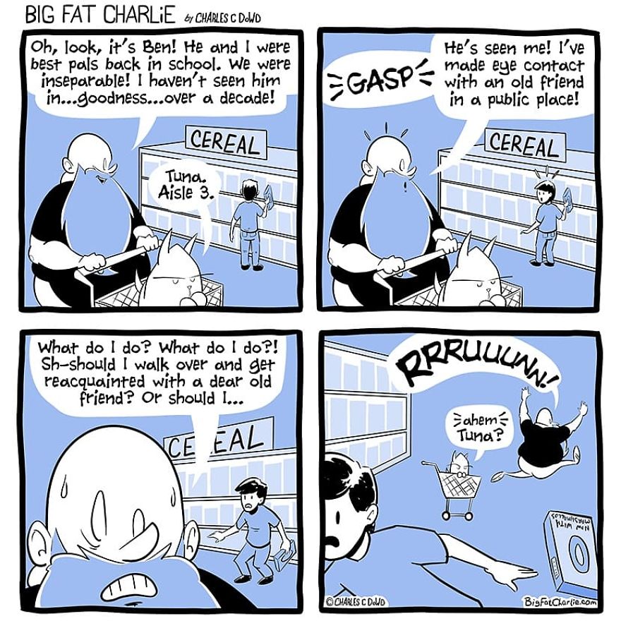 13 Comics About Being Fat, Having Diabetes, And A Cat