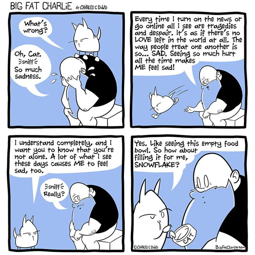 13 Comics About Being Fat, Having Diabetes, And A Cat