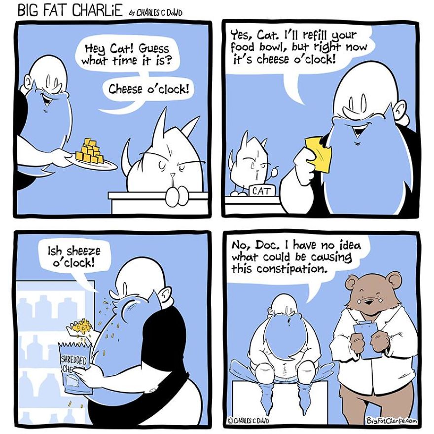 13 Comics About Being Fat, Having Diabetes, And A Cat