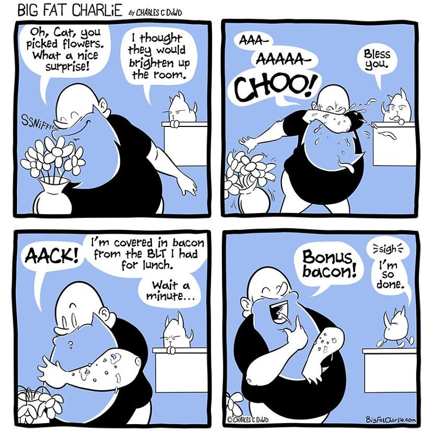 13 Comics About Being Fat, Having Diabetes, And A Cat