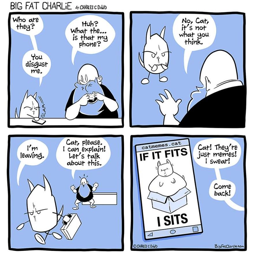 13 Comics About Being Fat, Having Diabetes, And A Cat