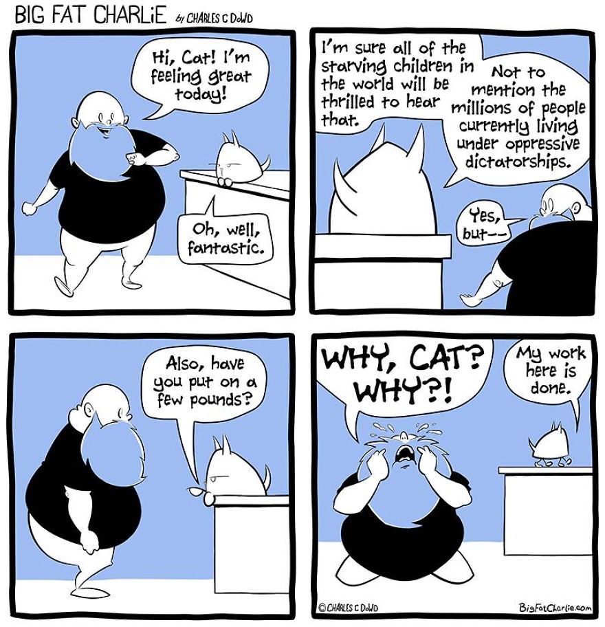 13 Comics About Being Fat, Having Diabetes, And A Cat