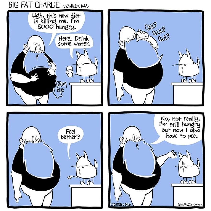 13 Comics About Being Fat, Having Diabetes, And A Cat