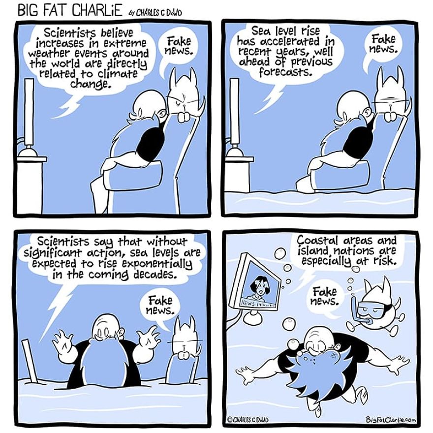 13 Comics About Being Fat, Having Diabetes, And A Cat