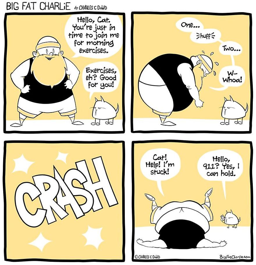 13 Comics About Being Fat, Having Diabetes, And A Cat