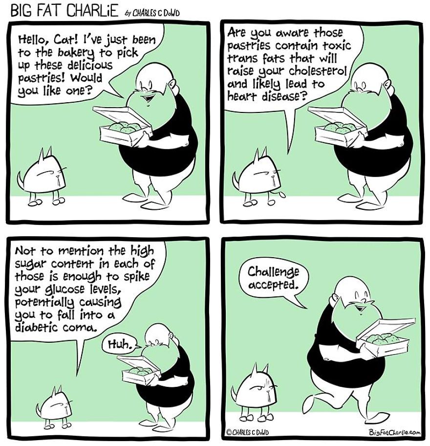 13 Comics About Being Fat, Having Diabetes, And A Cat