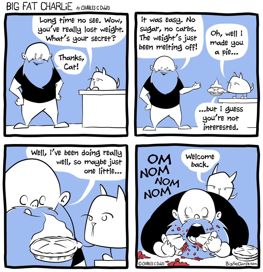13 Comics About Being Fat, Having Diabetes, And A Cat