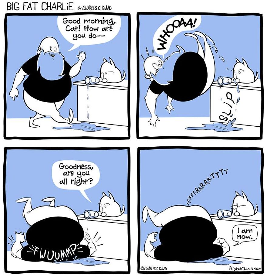 13 Comics About Being Fat, Having Diabetes, And A Cat