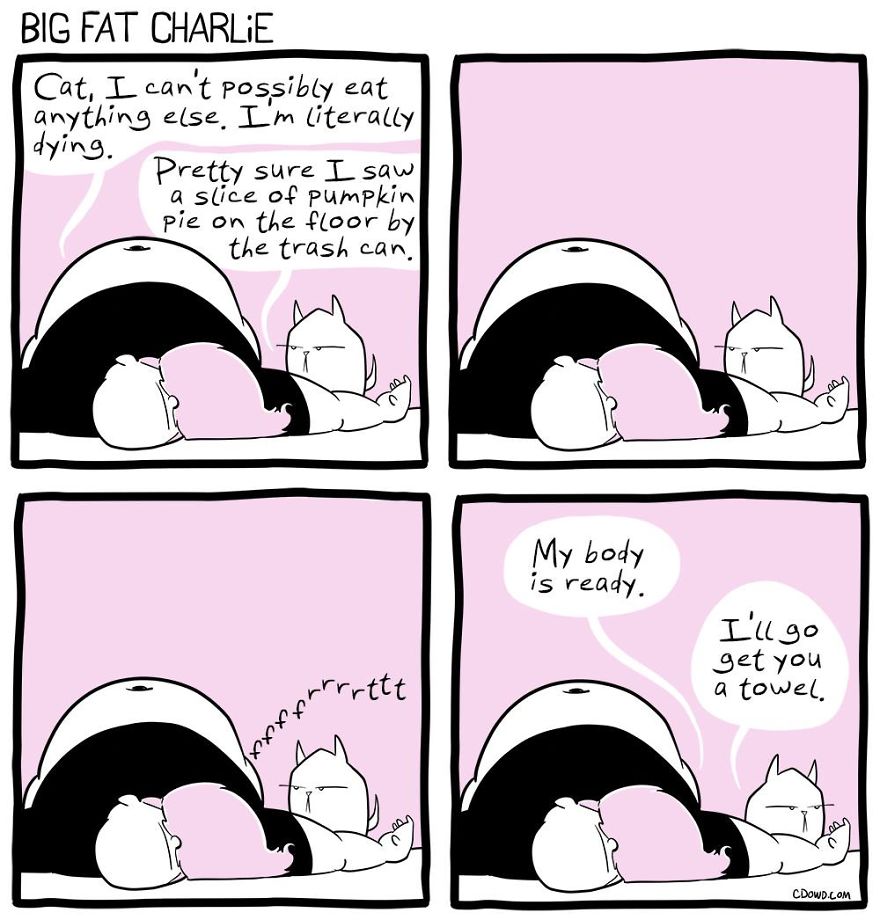13 Comics About Being Fat, Having Diabetes, And A Cat