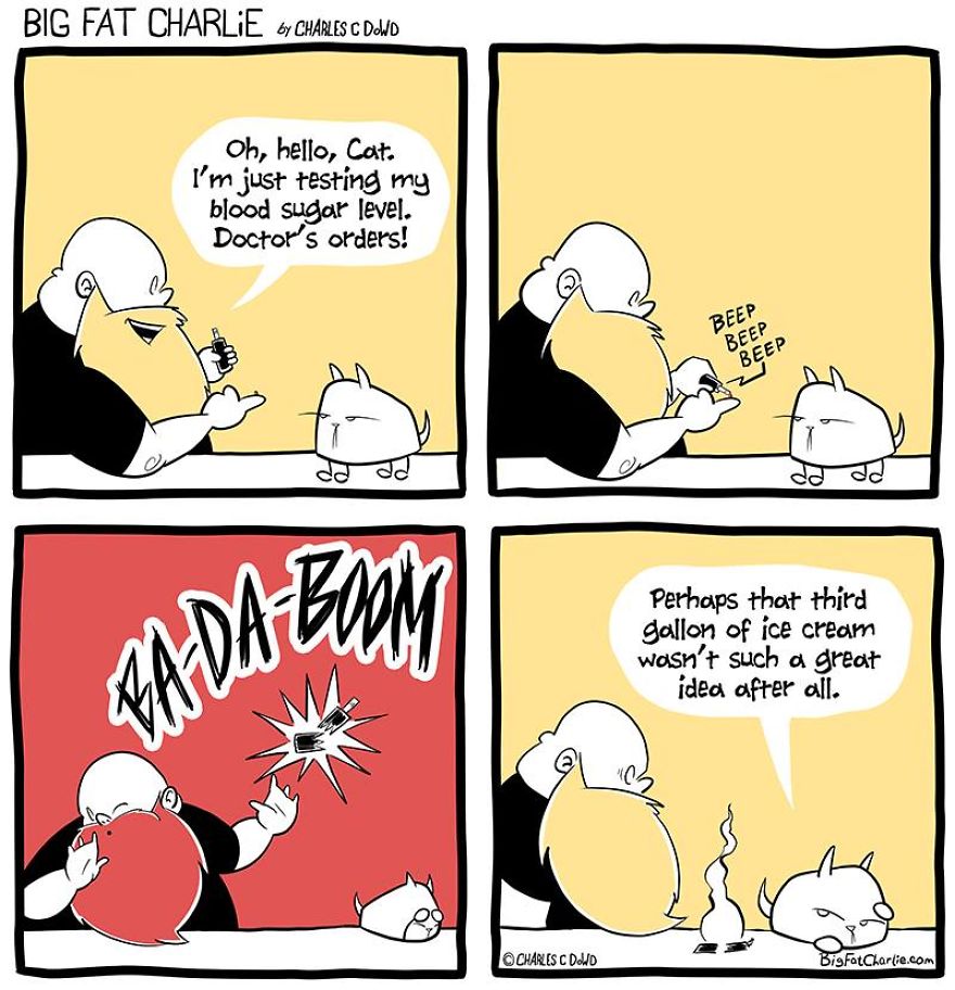13 Comics About Being Fat, Having Diabetes, And A Cat