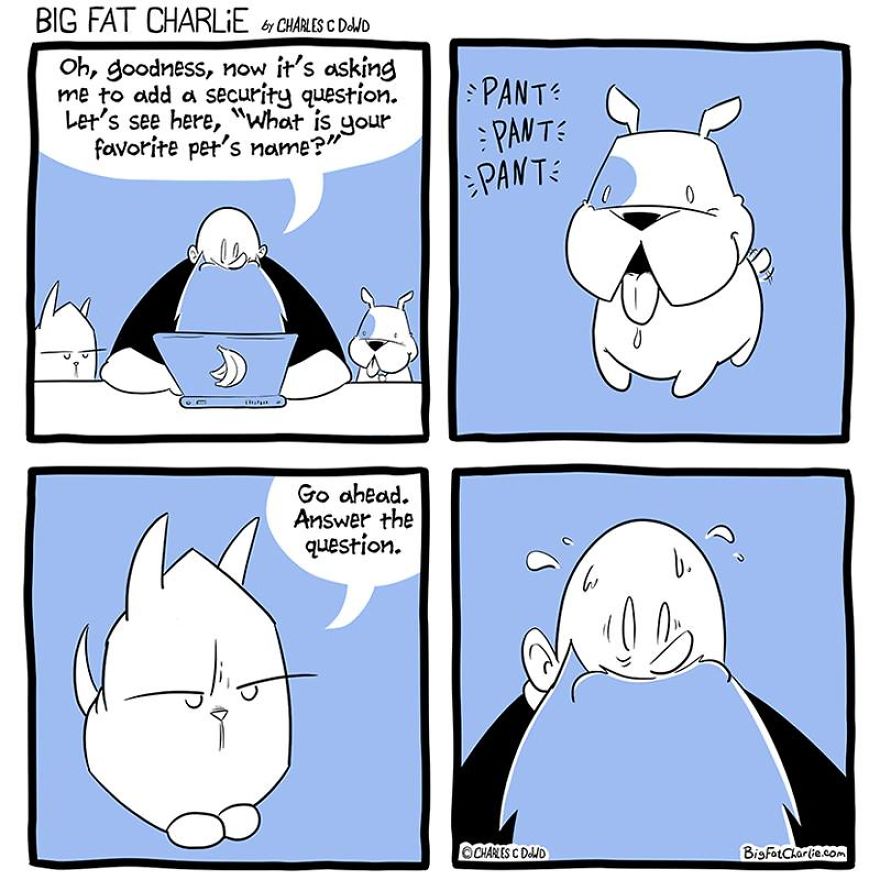 13 Comics About Being Fat, Having Diabetes, And A Cat