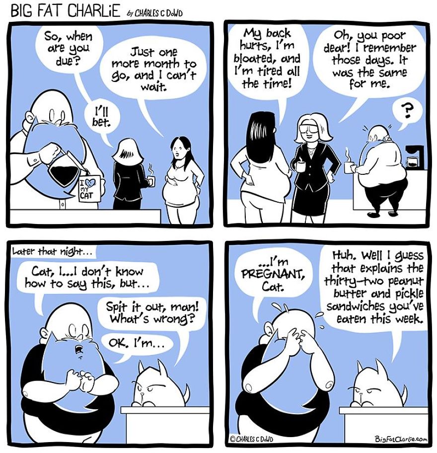13 Comics About Being Fat, Having Diabetes, And A Cat