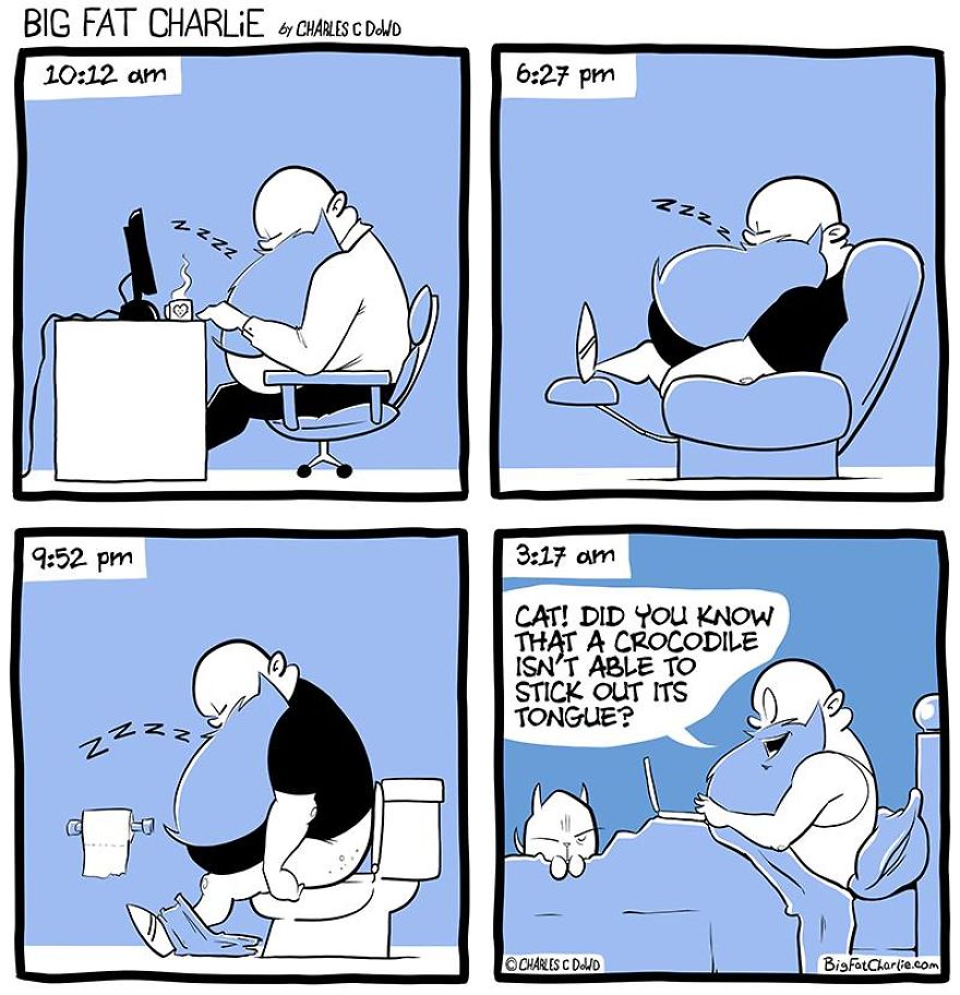 13 Comics About Being Fat, Having Diabetes, And A Cat