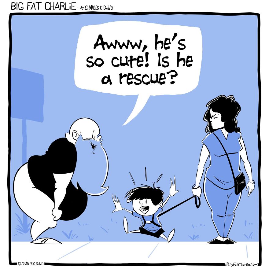 13 Comics About Being Fat, Having Diabetes, And A Cat