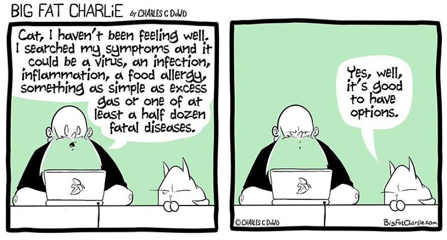 13 Comics About Being Fat, Having Diabetes, And A Cat