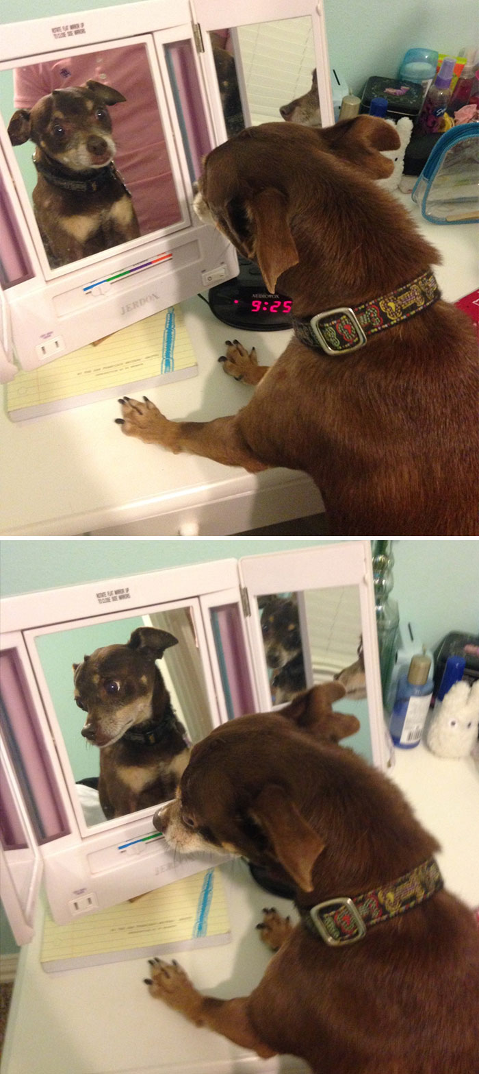 Looking In The Mirror