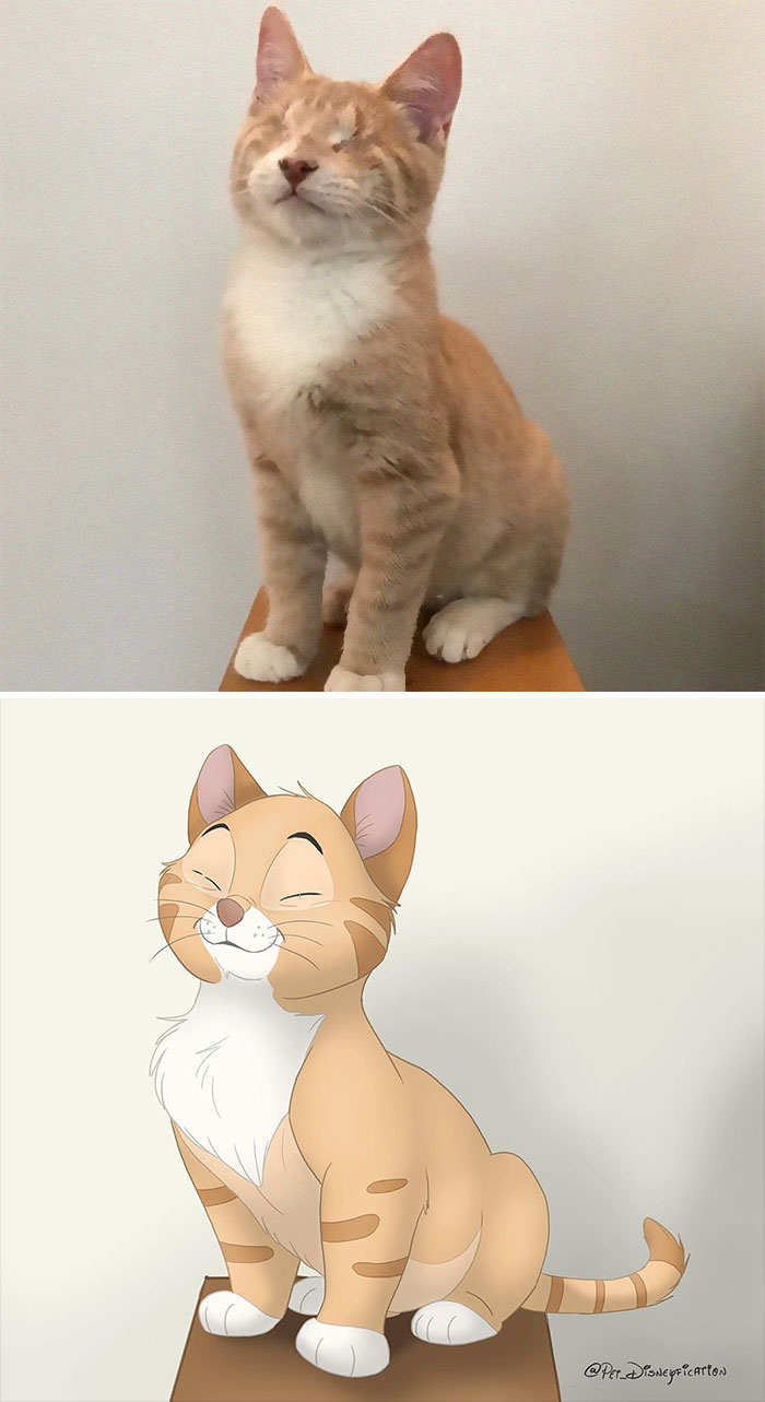 Artist-Turns-Pets-Disney-Characters-Pet-Disneyfication