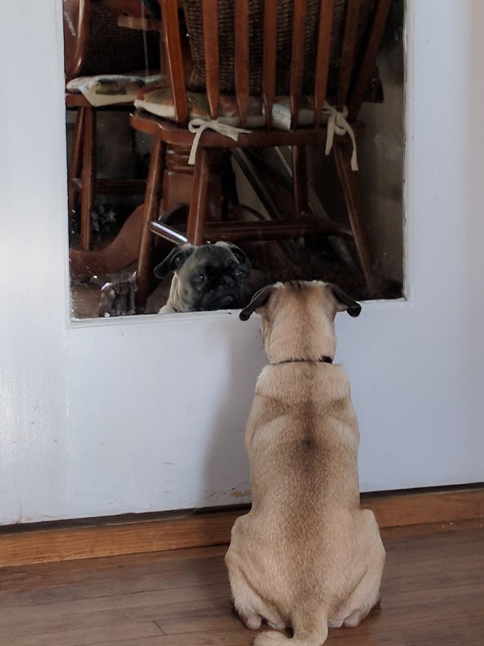 Who Made Me? And What Did They Make Me For?