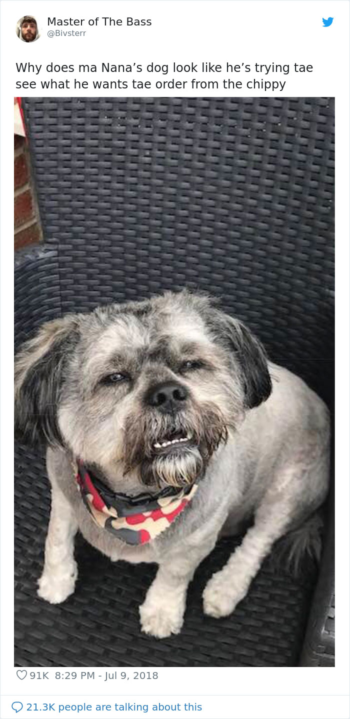 Best-Scottish-Tweets