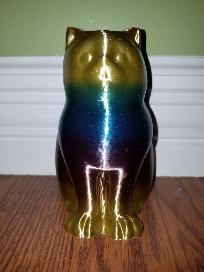 I Also Have This Rainbow 3D Printed Cat, His Name Is Fredrick