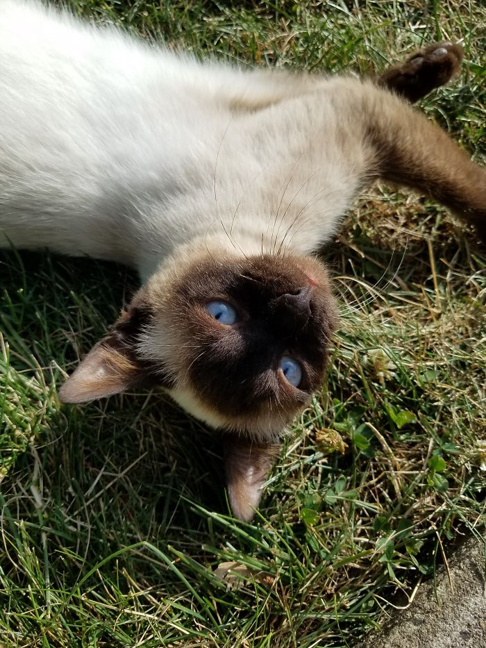 Paint Me Like One Of Your French Girls