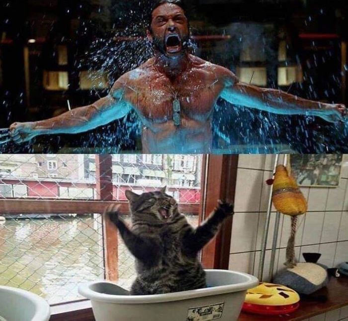 Can You Spot The Difference?