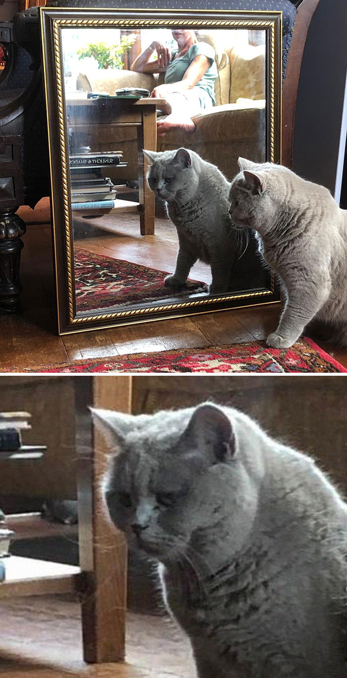 Looking In The Mirror