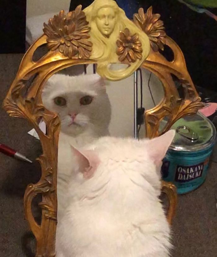 Looking In The Mirror