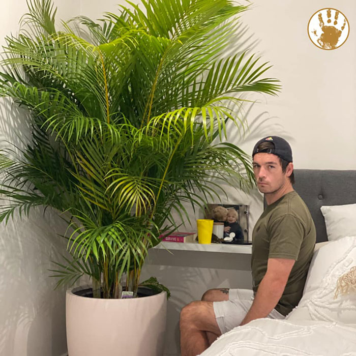 Husband Can't Handle His Wife's 'Jurassic'-Sized Plants, Shares A Hilarious Rant As A Response Husband Can't Handle His Wife's 'Jurassic'-Sized Plants, Shares A Hilarious Rant As A Response