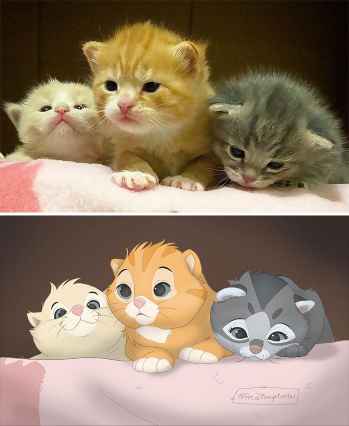 Artist-Turns-Pets-Disney-Characters-Pet-Disneyfication