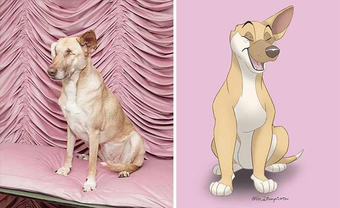 Artist-Turns-Pets-Disney-Characters-Pet-Disneyfication