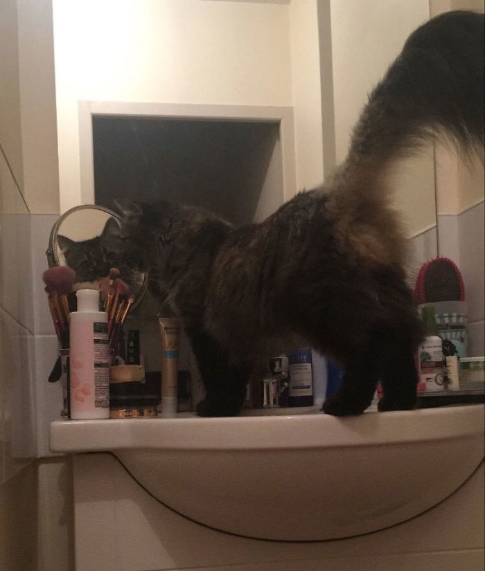 Looking In The Mirror