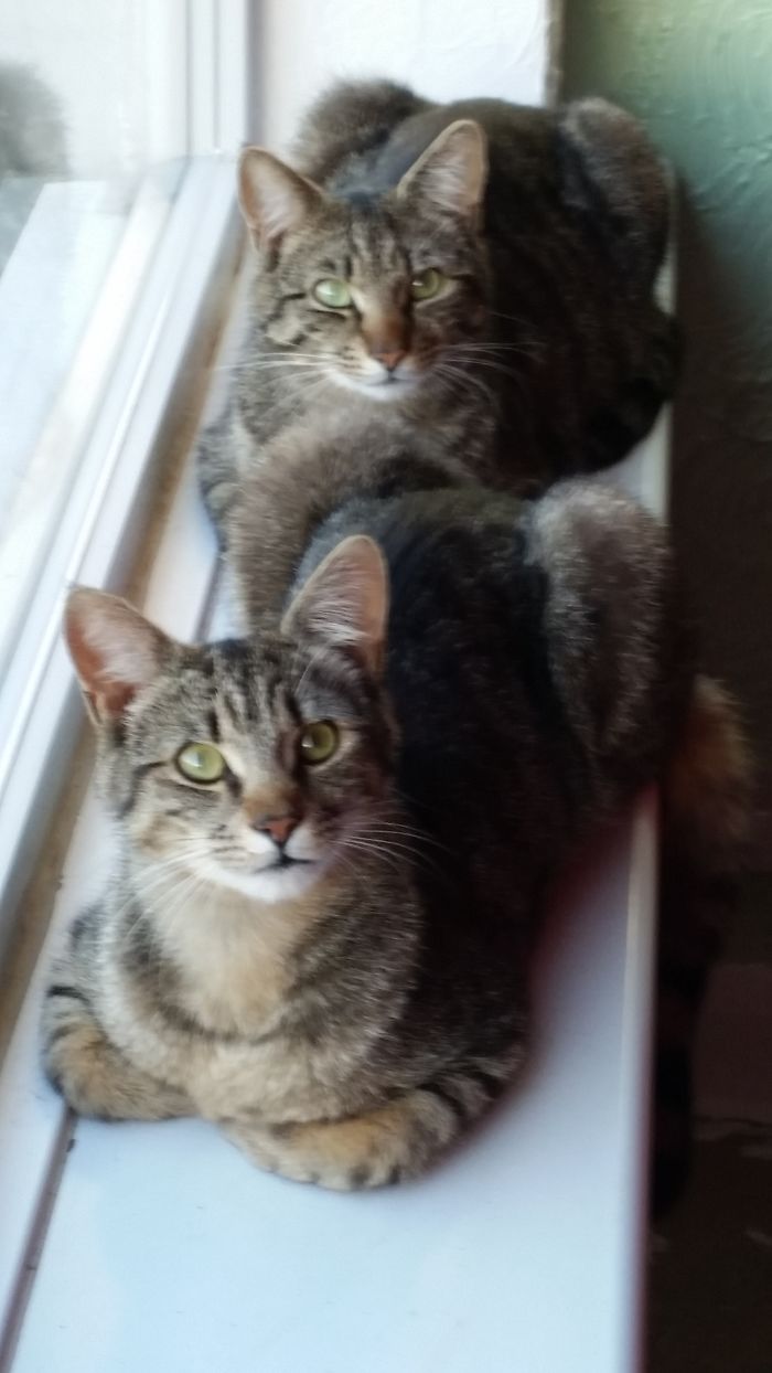 Brothers, Were Always Together, Much Missed.