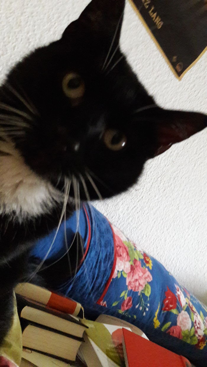 This Is My Hat Binksy, He Loves My Bed