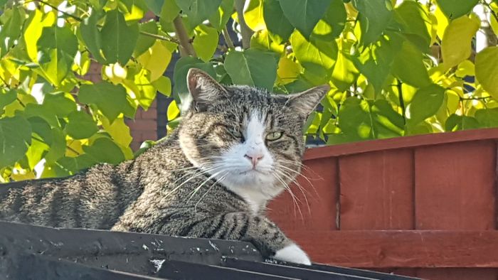 Came Up Here To Get Away From You, Stop Looking At Me.