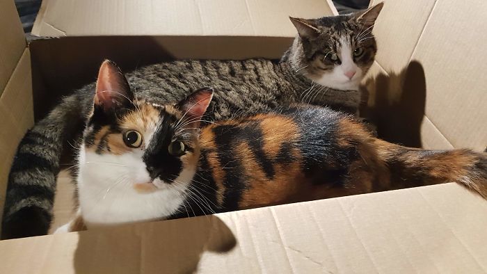 Married Life, With A Grumpy Partner.