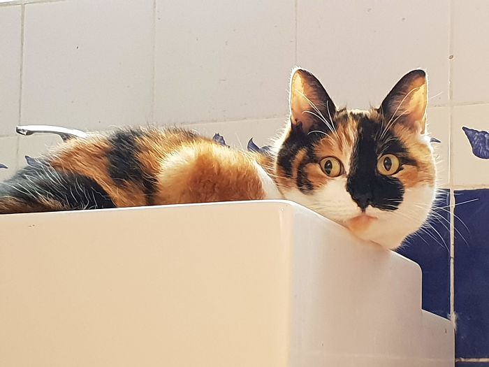 Made Lots Of Noise To Come In And Just Watch Me In The Bath.