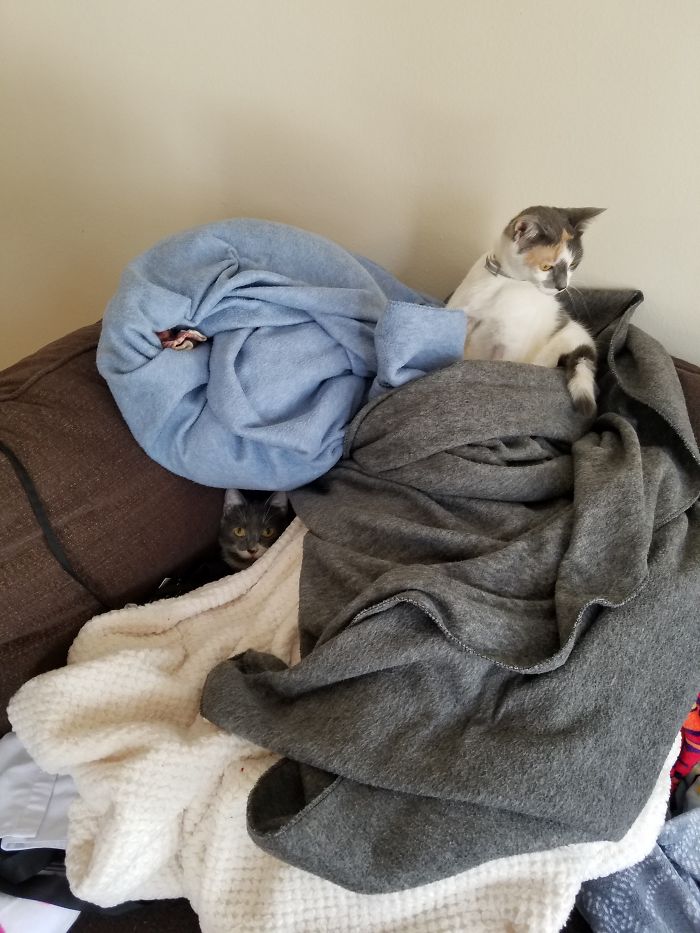 We Have A Hide And Seek Winner