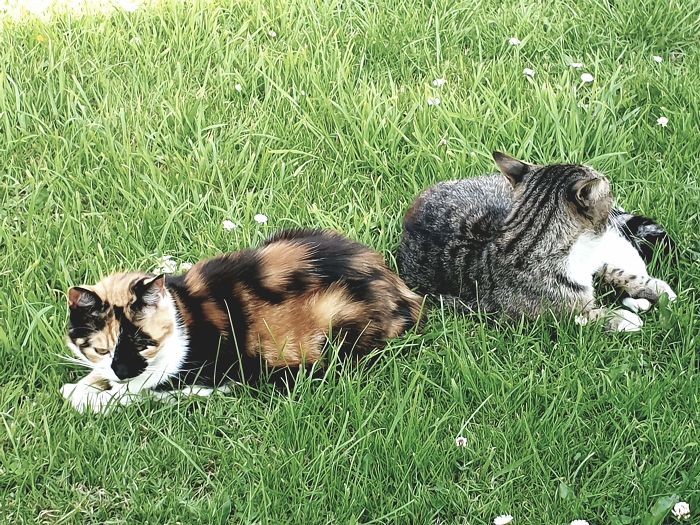 Still Ignoring Each Other.