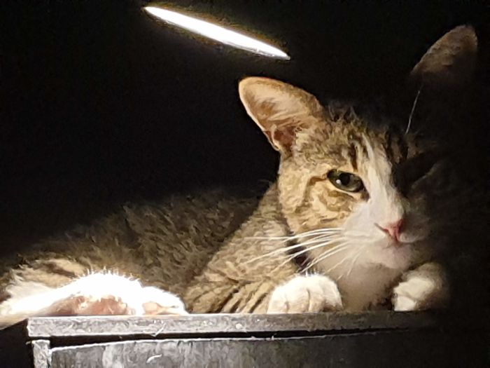 Will Kill You While You Sleep.