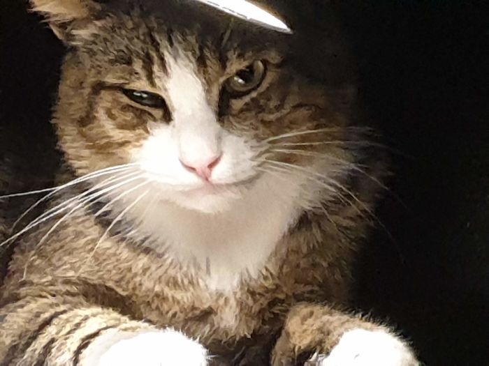 What You Looking At?