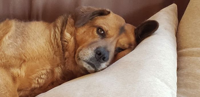 It's Been One Of Those Days