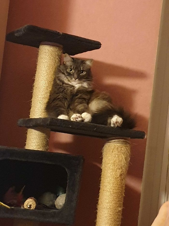 I Feel I'm Being Watched