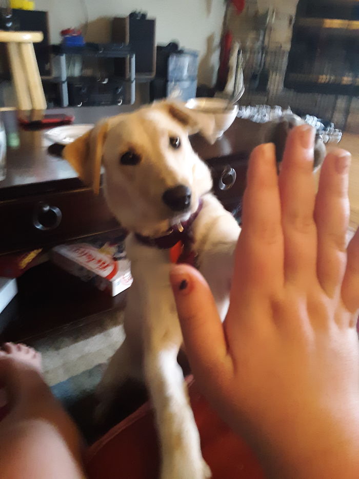 Her First Christmas She Is Like 6 Or 7 Months Old