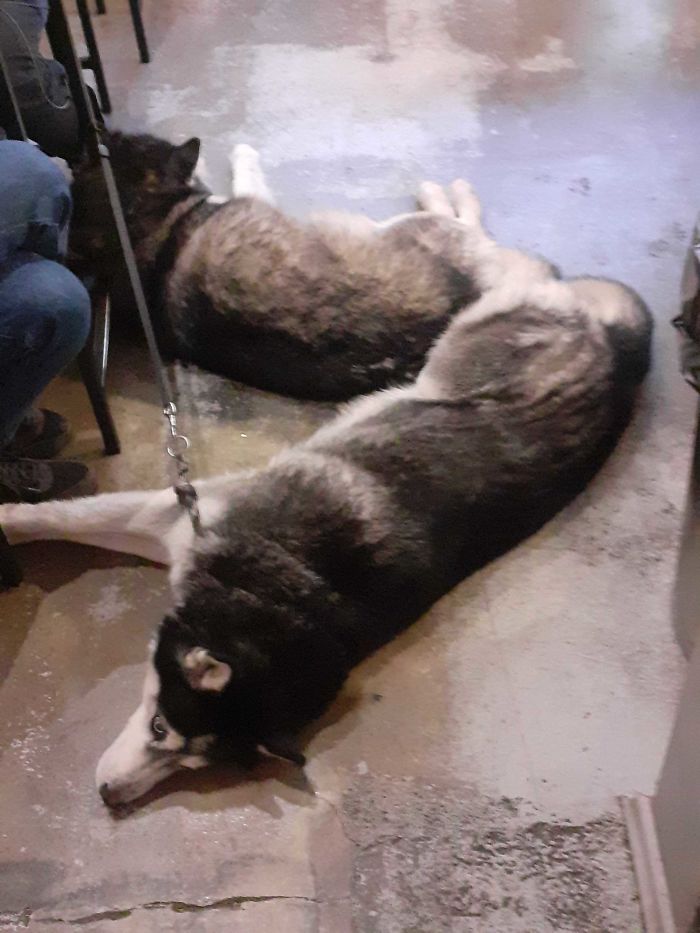 At First I Thought It Was A Mirror, But I Remembered That's Not How They Work