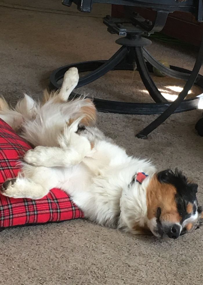 Dakota, Relaxing After A Light Lunch.