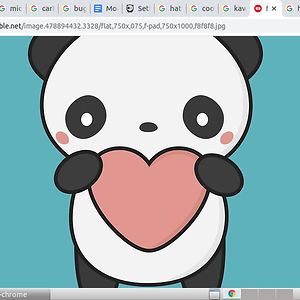 olivia-vandervliet avatar