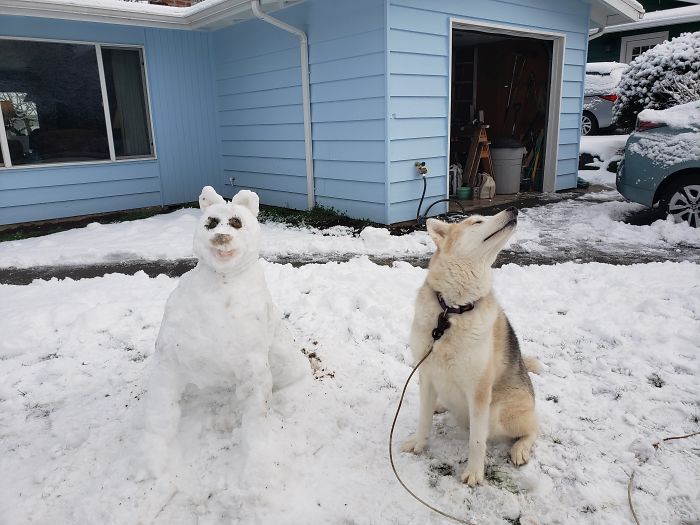 Why Make A Dogpelganger When You Have Me?